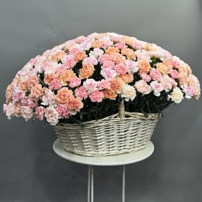Композиция в корзине из 251 диантуса микс в Рузе