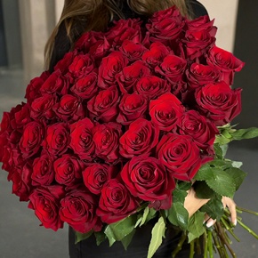 Букет 51 роза Эквадор Эксплорер (60 см) в Рузе