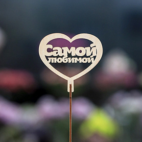 Топпер Самой Любимой в Рузе