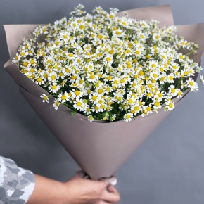 Букет из 17 ромашек танацетум в Рузе