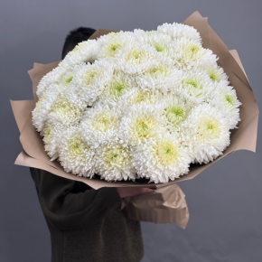 Букет из 27 хризантем Магнум в Рузе