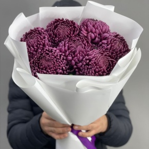 Букет "Винная легенда" из 7 хризантем Бигоуди в Рузе