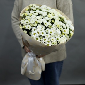 Букет "Милая моя" из 17 хризантем сантини в Рузе