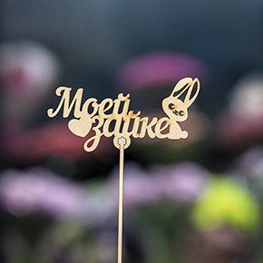 Топпер моей зайке в Рузе