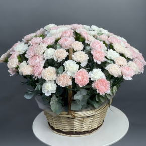 Композиция в корзине из 101 диантуса микс в Рузе
