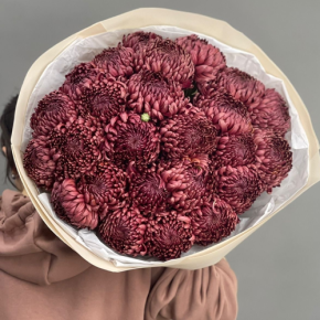 Букет 21 шоколадной хризантемы Бигоуди в Рузе