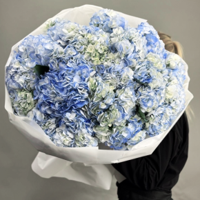 Букет из 23 синих гортензий в Рузе