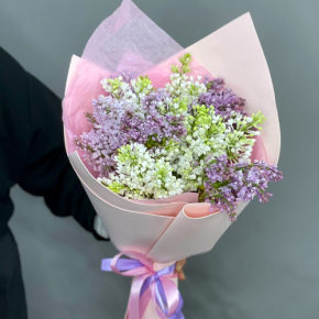 Букет из 11 веток сирени микс в Рузе