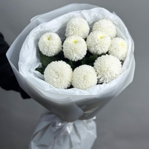 Букет из 9 белых хризантем Момоко в Рузе