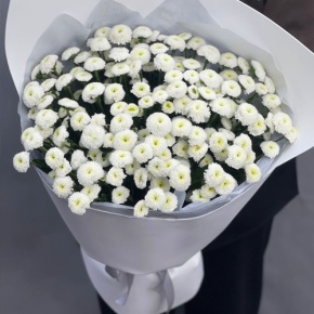 Букет "Белая дымка" из 25 хризантем сантини в Рузе
