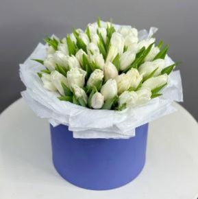 Букет из 49 белых тюльпанов в синей коробке в Рузе