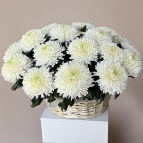 Композиция в корзине из 25 хризантем Магнум в Рузе