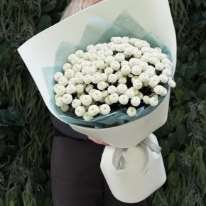 Букет из 25 хризантем Ньютон в Рузе