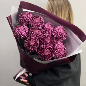 Букет "Изобилие" из 11 винных хризантем Бигоуди в Рузе