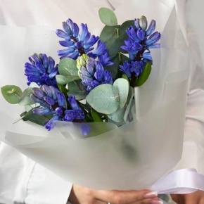 Букет "Мини" из 5 ароматных гиацинтов и эвкалипта в Рузе