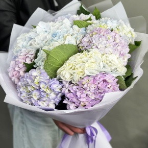 Букет из 9 Голландских гортензий микс в Рузе