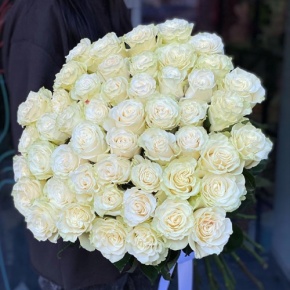 Букет из 51 розы Эквадор Мондиаль под ленту (80 см) в Рузе