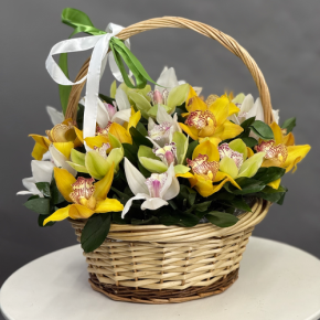 Композиция в корзине из 25 орхидей микс в Рузе