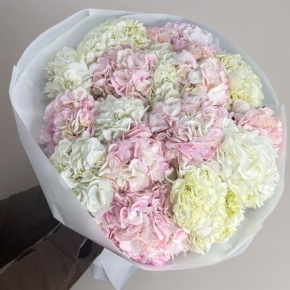 Букет из 17 нежных гортензий в Рузе