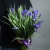 Букет из 49 ирисов в Рузе