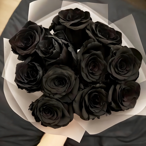 Букет "Черная королева" из 11 черных роз Эквадор (60 см) в Рузе