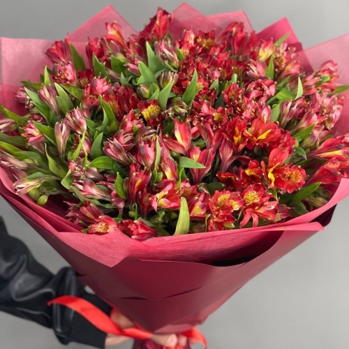 Монобукет из 25 красных альстромерий в Рузе