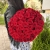 Букет 51 красной розы 50 см в Рузе Букет 51 красной розы 50 см в Рузе