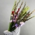 Букет из 25 гладиолусов микс в Рузе Букет из 25 гладиолусов микс в Рузе