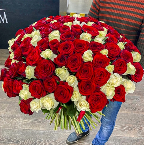 Букет 151 роза красный и белый микс (60 см) в Рузе