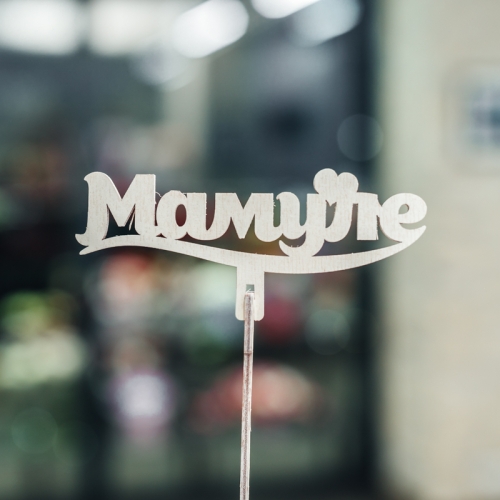 Топпер Мамуле в Рузе