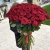 Букет из 101 красной розы (90 см) в Рузе Букет из 101 красной розы (90 см) в Рузе