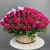 Композиция в корзине из 151 малиновой розы в Рузе Композиция в корзине из 151 малиновой розы в Рузе