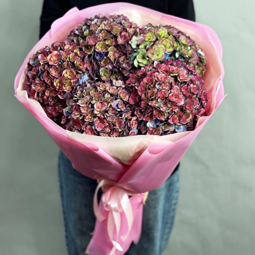 Букет из 5 космических Голландских гортензий в Рузе