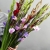 Букет из 25 гладиолусов микс в Рузе Букет из 25 гладиолусов микс в Рузе