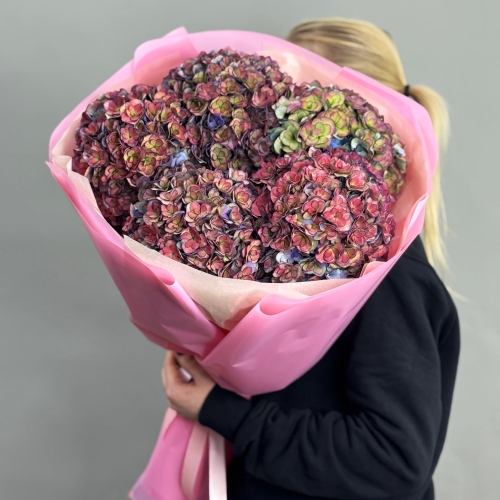 Букет из 5 космических Голландских гортензий в Рузе